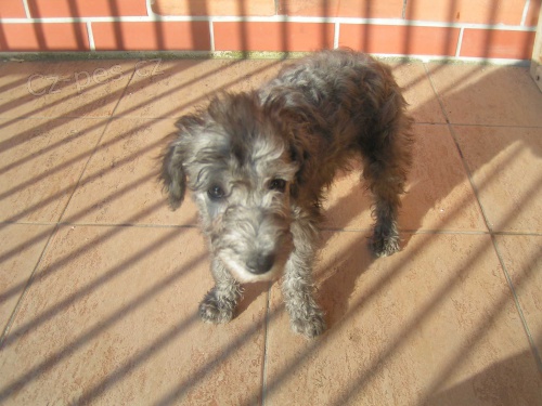 Fenka s PP 1500 K�