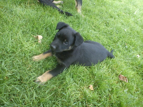 �t�n� ihned k odb�ru