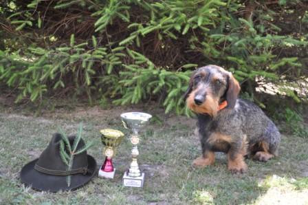 Kryt� jezev��k