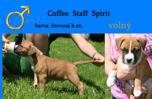 �t���tko AST