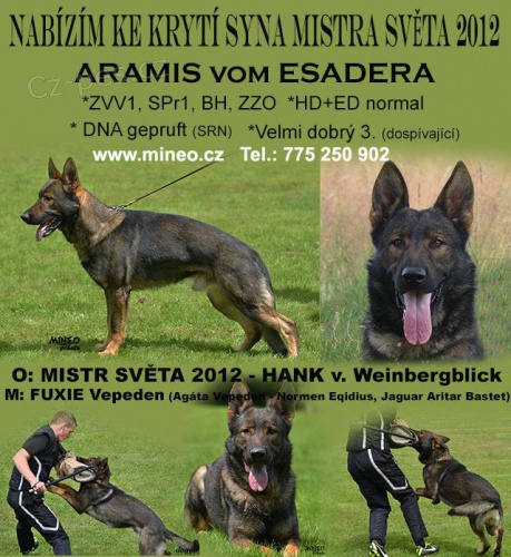 Nab�z�m ke kryt� syna MISTRa SV�TA 2012