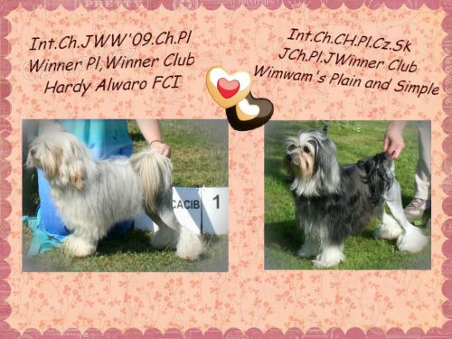 Lv��ek pejsek s PP