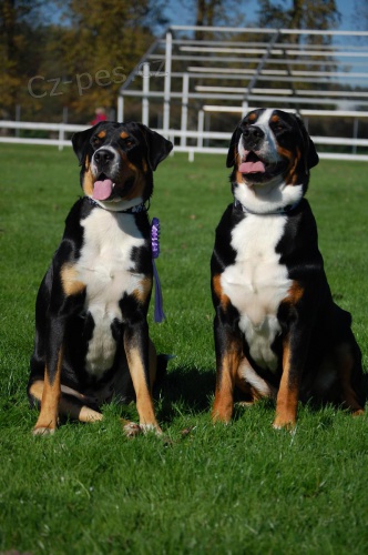 �t�n�tka Velk�ho �v�cara