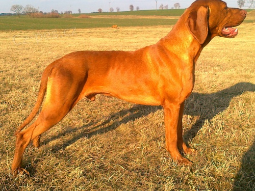 NAB�Z�M KRYT�  MOK