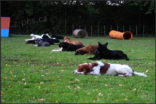 Ps� �kola Fron Fighter Ostrava