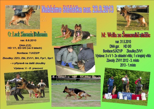 �t���tka n�meck�ho ov��ka s PP