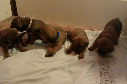 Prod�m �t�n�