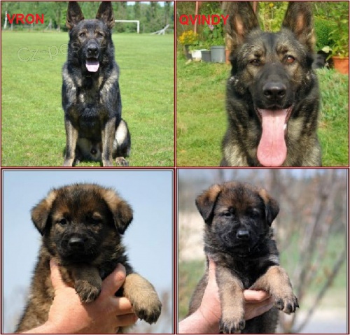 N�mecj� ov��k  - �t��ata 