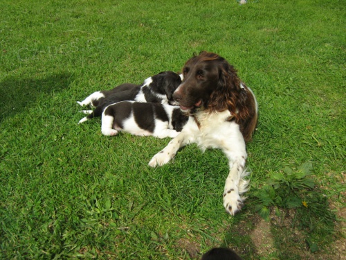 prod�m �t��ata MMO