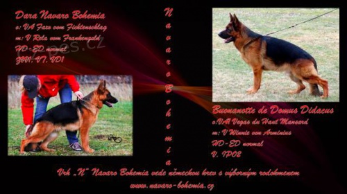 N�meck� ov��k ze zahrani�n�ho kryt�