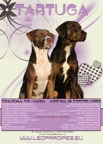Louisi�nsk� Leopard� Pes Catahoula