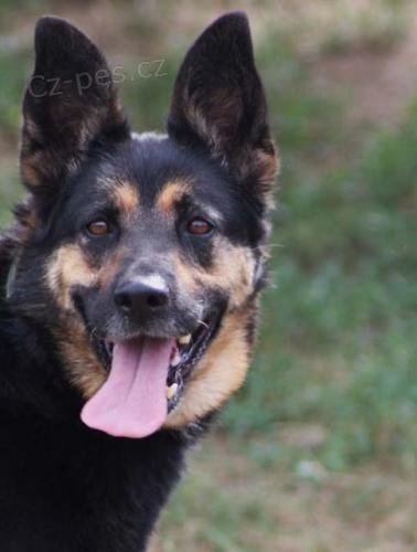 K��enka NO Jessie