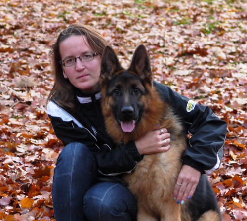 Pejsek n�meck�ho ov��ka 