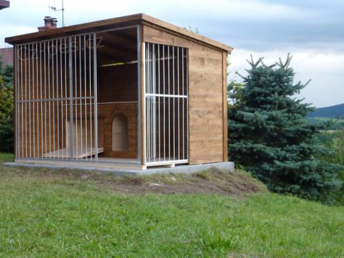 Ps� kotec, v�b�h pro psa DOMINIK