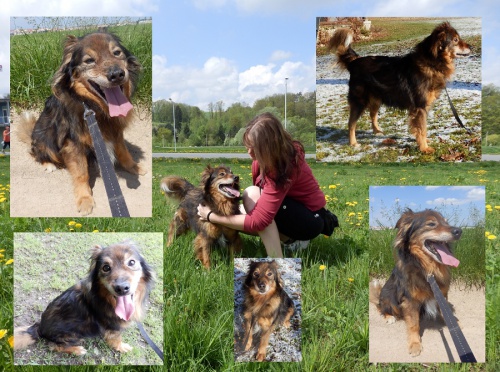 Kastrovan� x N�meck� �pic M�a je v �tulku ji� p�es 4 roky!