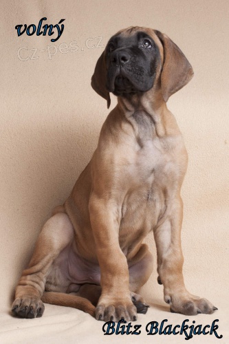 N�meck� doga �lut�