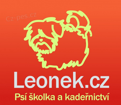 Ps� �kolka a kade�nictv� Leonek v Brn�