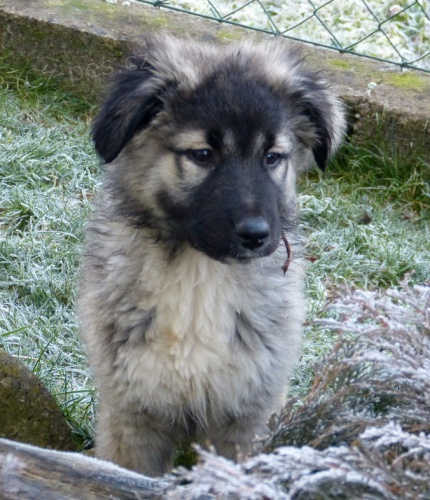 �t���tka Kavkaz��ka