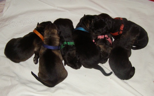 �t��ata NO s PP