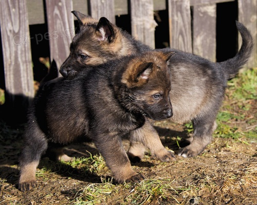 �t��ata NO s PP