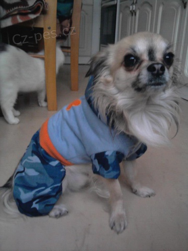 �ivava - nab�dka kryt�