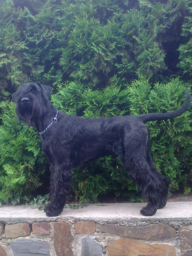 Nab�dka kryt� kn�ra�em