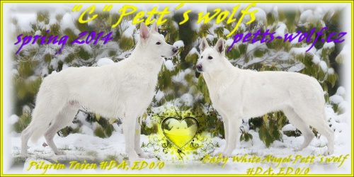 B�l� �v�carsk� Ov��k