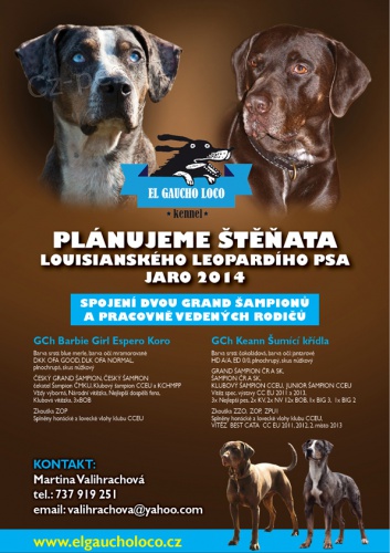 Louisiansk� leopard� pes s PP