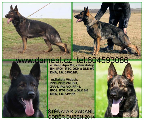 �t���tka n�m. ov��ka s PP