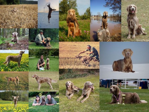 V�marsk� oha� dlouhosrst�-rezervace �t��at