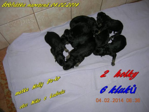 N�MECK� OV��K - �t��ata