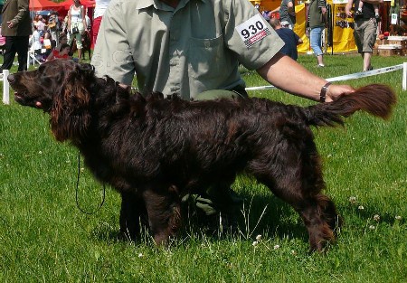 N�meck� k�epel�k