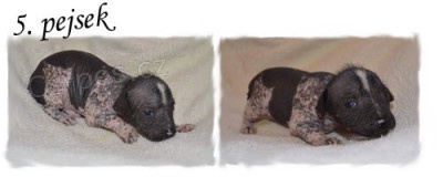 Peru�nsk� nah��