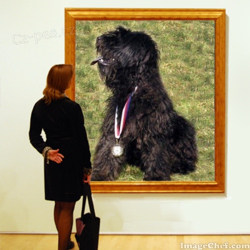 Al�k�v poh�r 2014