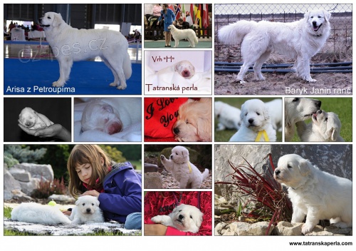 Slovensk� �uva� - �t��ata s pp