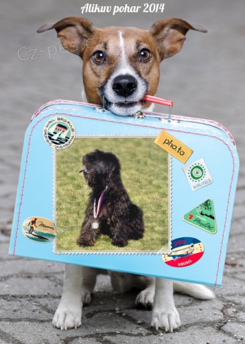 Al�k�v poh�r 2014