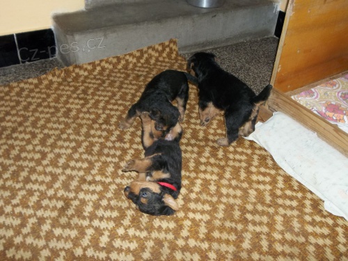 �t���tka edelteri�ra