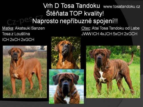 Tosa Inu - rezervace �t��at z TOP spojen�