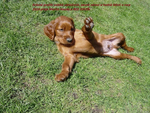 �T��ATA IRSK�CH SETR�