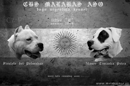 �t���tka - argentinsk� doga