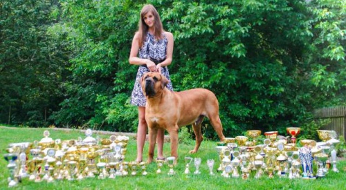 Nab�dka kryt� multi�ampionem a inter�ampionem Tosa