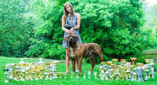 Kryt� multi�ampionem a j.sv�tov�m v�t�zem Tosa Inu