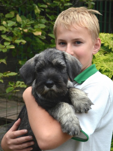 KN�RA� ST�EDN� PEP� A S�L