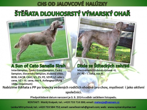 V�marsk� oha� dlouhosrst�