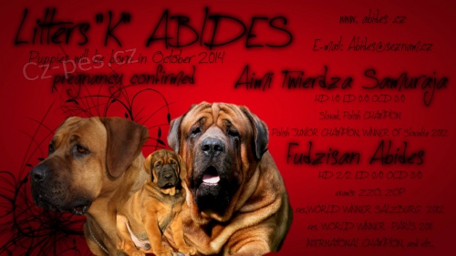 Tosa Inu - rezervace na �t��ata s  PP