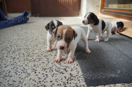 �t��ata PRT na prodej