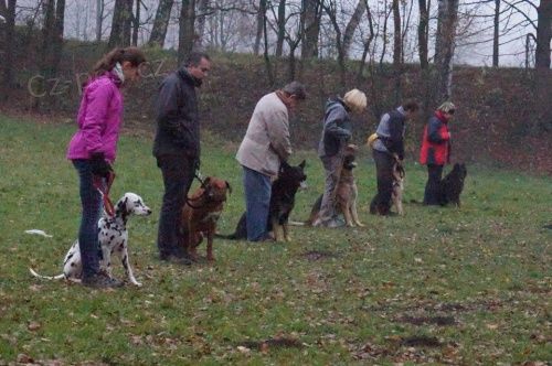 ps� �kola Fron Fighter