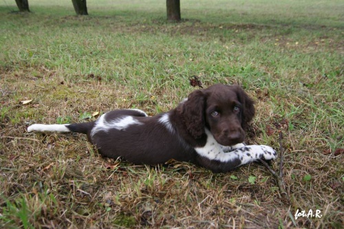 �t�n� MMO - rodokmen