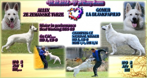 B�l� �v�carsk� ov��k - super �t�nda