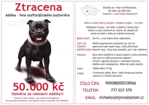 HLED� SE FENKA SBT, ODM�NA 50.000,-